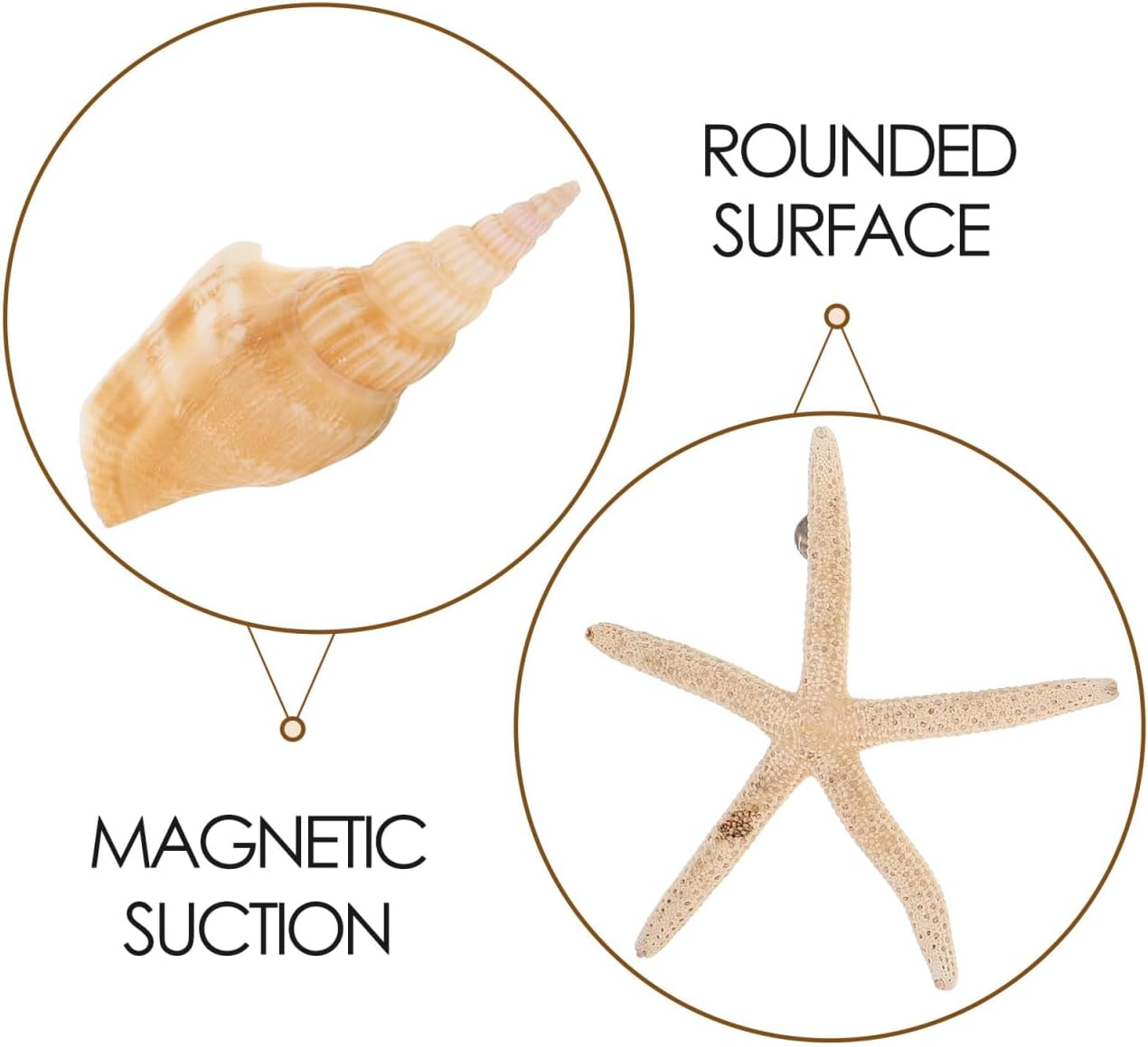 STOBOK 7PCS Shell Magnets Refrigerator Magnets Decorative Fridge Magnets Seashells Oysters Magnetic Decals for Home Kitchen Office, Random Style image number 3