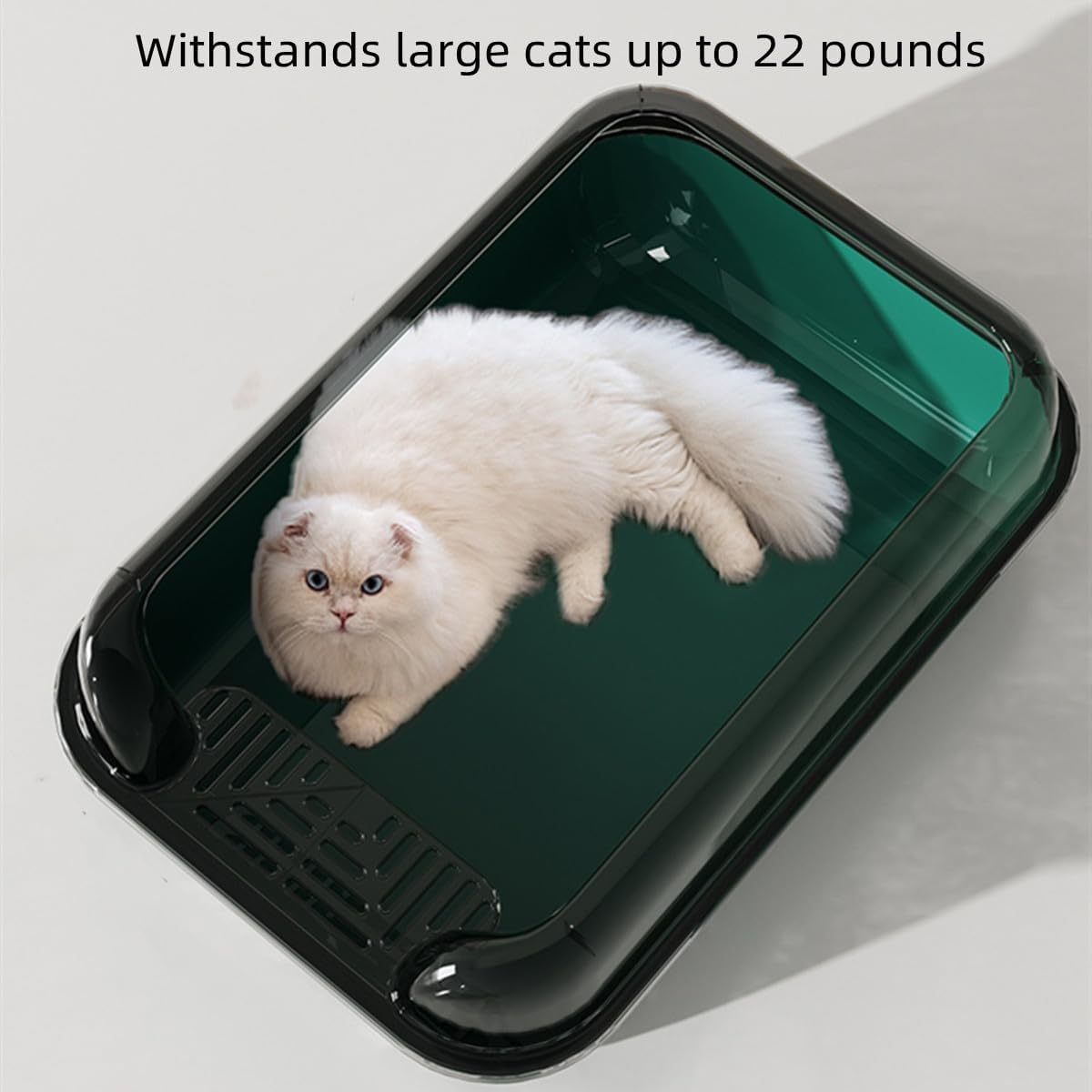 Deep Pan Large Cat Litter Box, Deep Pan Litter Pan, Spacious Size for Large Cats, Washable, BPA Free, 20 * 14In（Free Scoop） (Green) - Blue image number 4