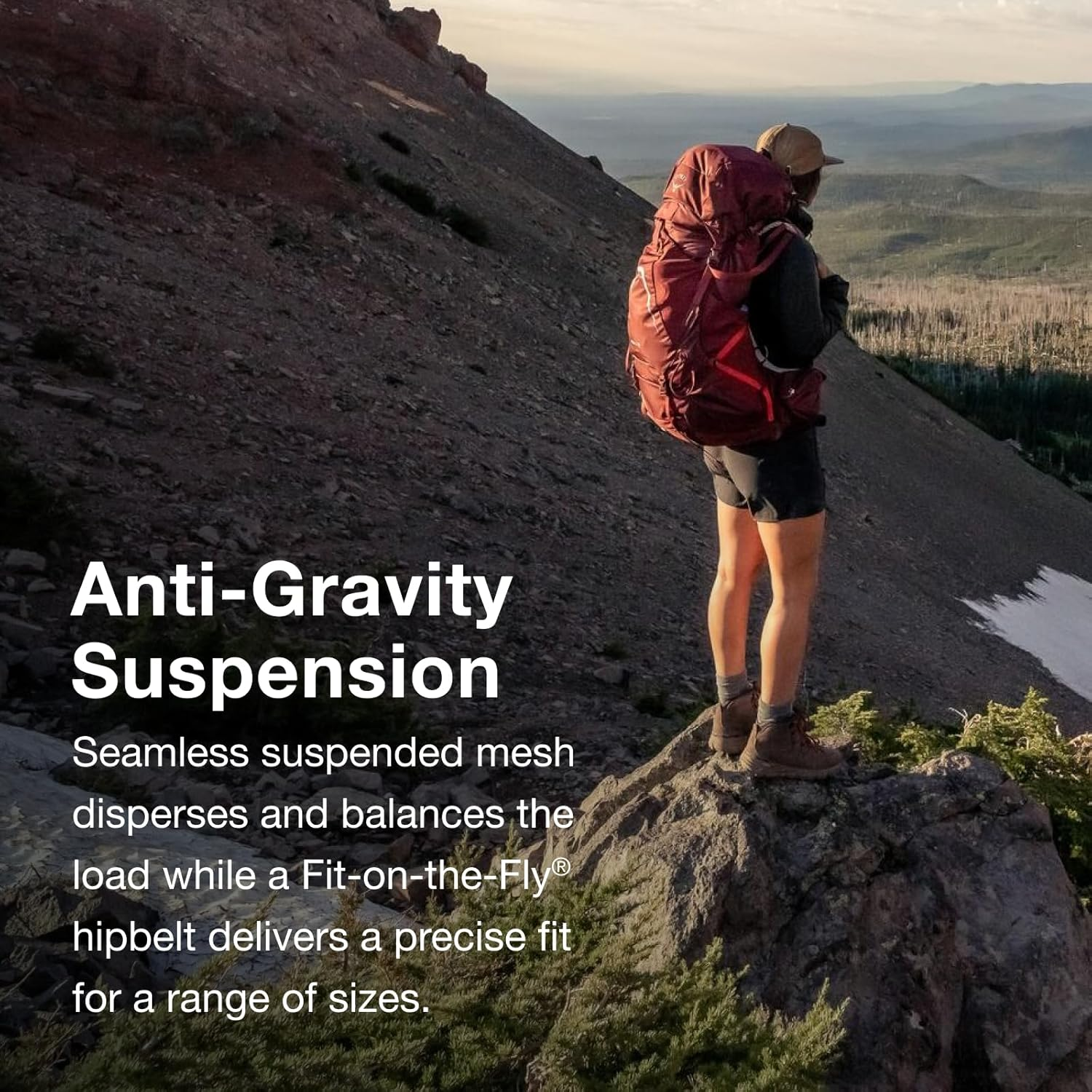 Osprey Osprey image number 1