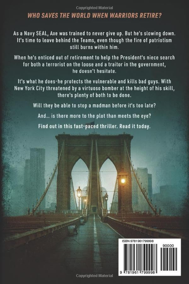 A Team of One LARGE PRINT EDITION: an Unsanctioned Asset Thriller