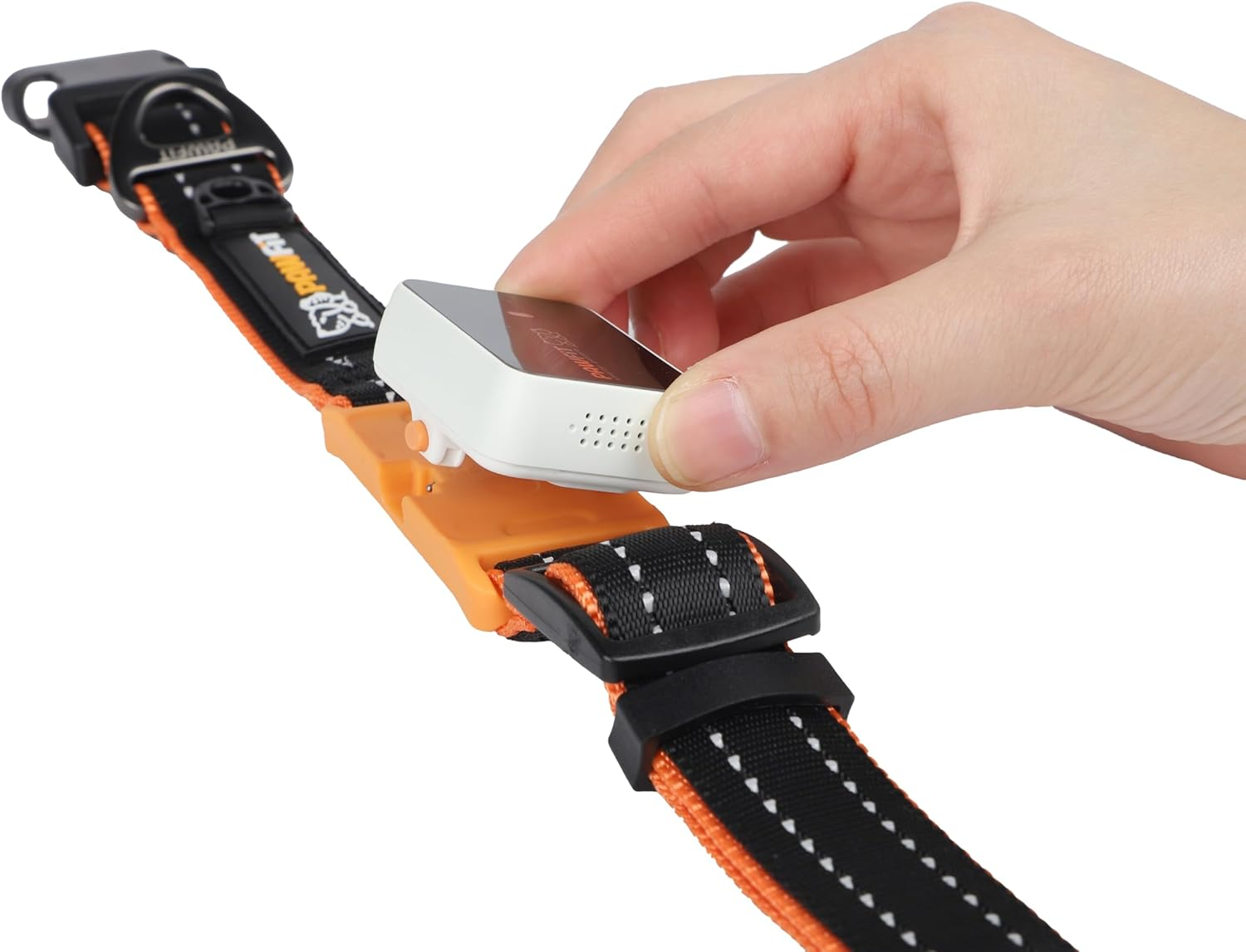 Pawfit Collar, Nylon Dog Collar with Safety Buckle, Adjustable Pet Collars with Quick Release Buckle image number 3