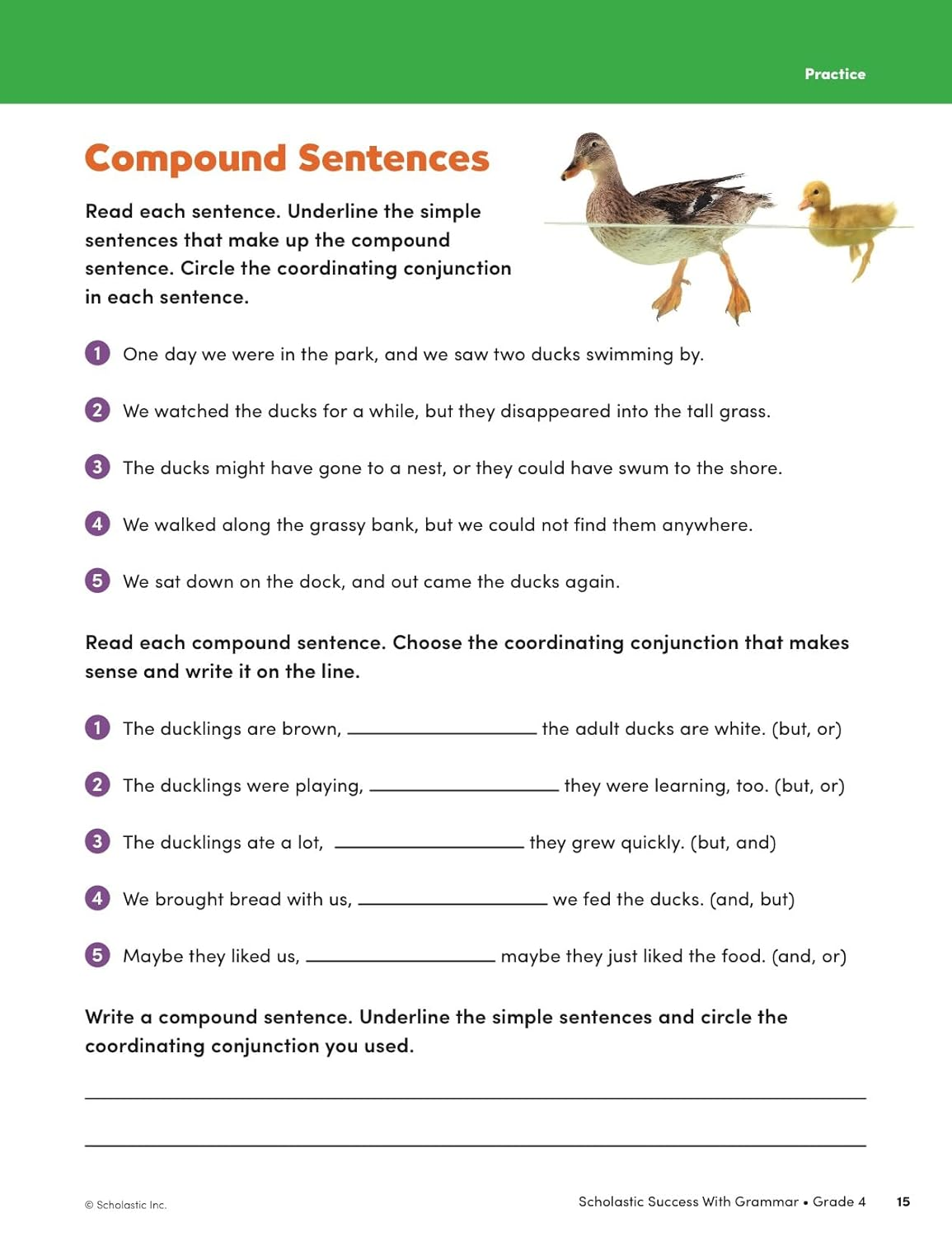 Scholastic Success with Grammar Grade 4 Workbook image number 3