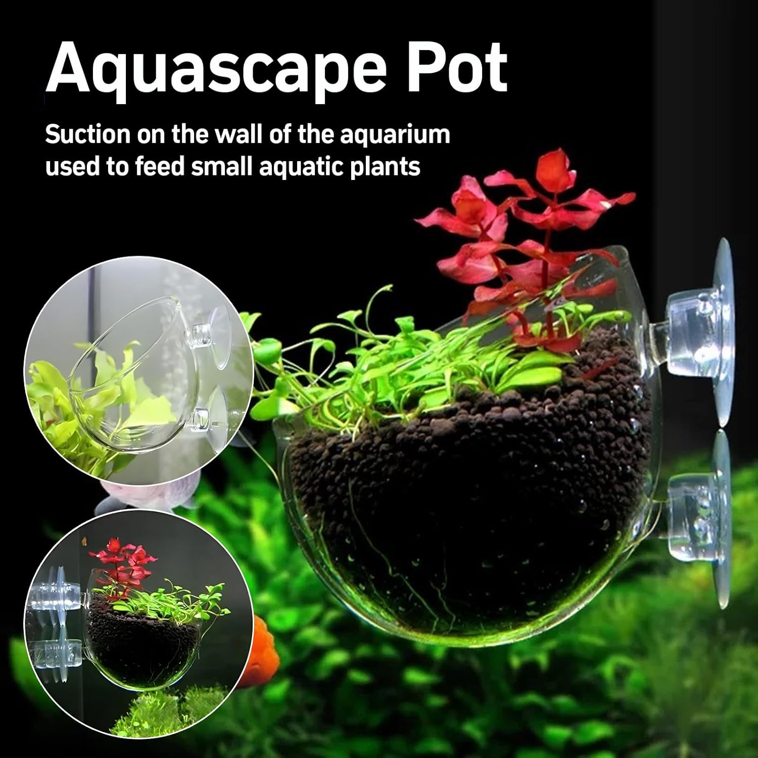 4 X Water Plants Aquarium Pot, 6 X 7 Cm, Plant Pot for Aquarium Glass with 8 Suction Cups, Plant Holder for Aquarium Plants, Decorative Aquarium Plants, Aquascape, Aquatic Glass Holder, Fish Tank, image number 3