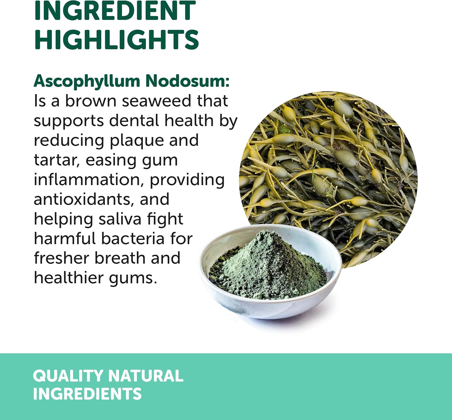 Natural Animal Solutions Dental Powder 80G &ndash; Natural Oral Supplement for Dogs & Cats, Freshens Breath, Reduces Plaque & Tartar image number 4