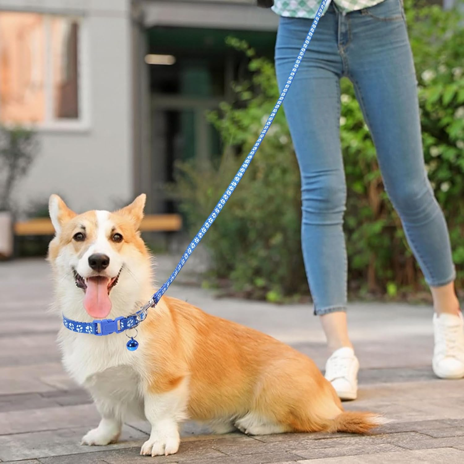 FREEBLOSS 30 Set Dog Collar and Leash Set Adjustable Puppy Collars Soft Polypropylene Identification Collar for Little Dog Walking Training with Hook and Buckle 15 Colors image number 2