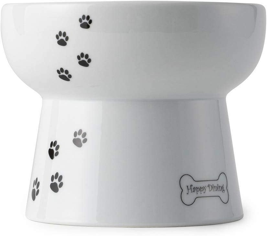 Necoichi Raised Dog Water Bowl image number 6