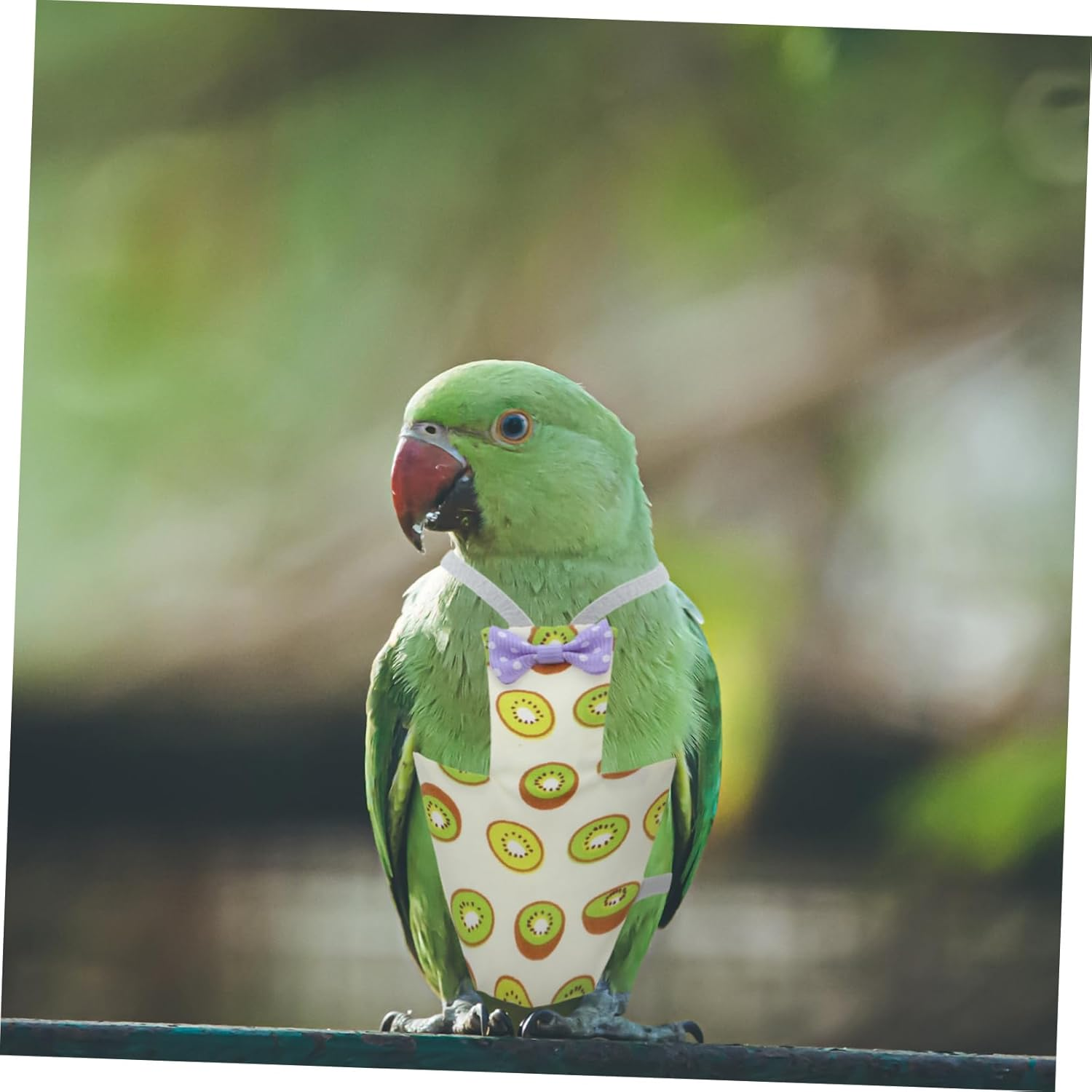 HANABASS 2Pcs Bird Flying Clothes Parrot Diapers Fruit Pattern Breathable Nappy for Budgies Lovebirds Cockatiels Accessories for Parties and Holidays image number 6