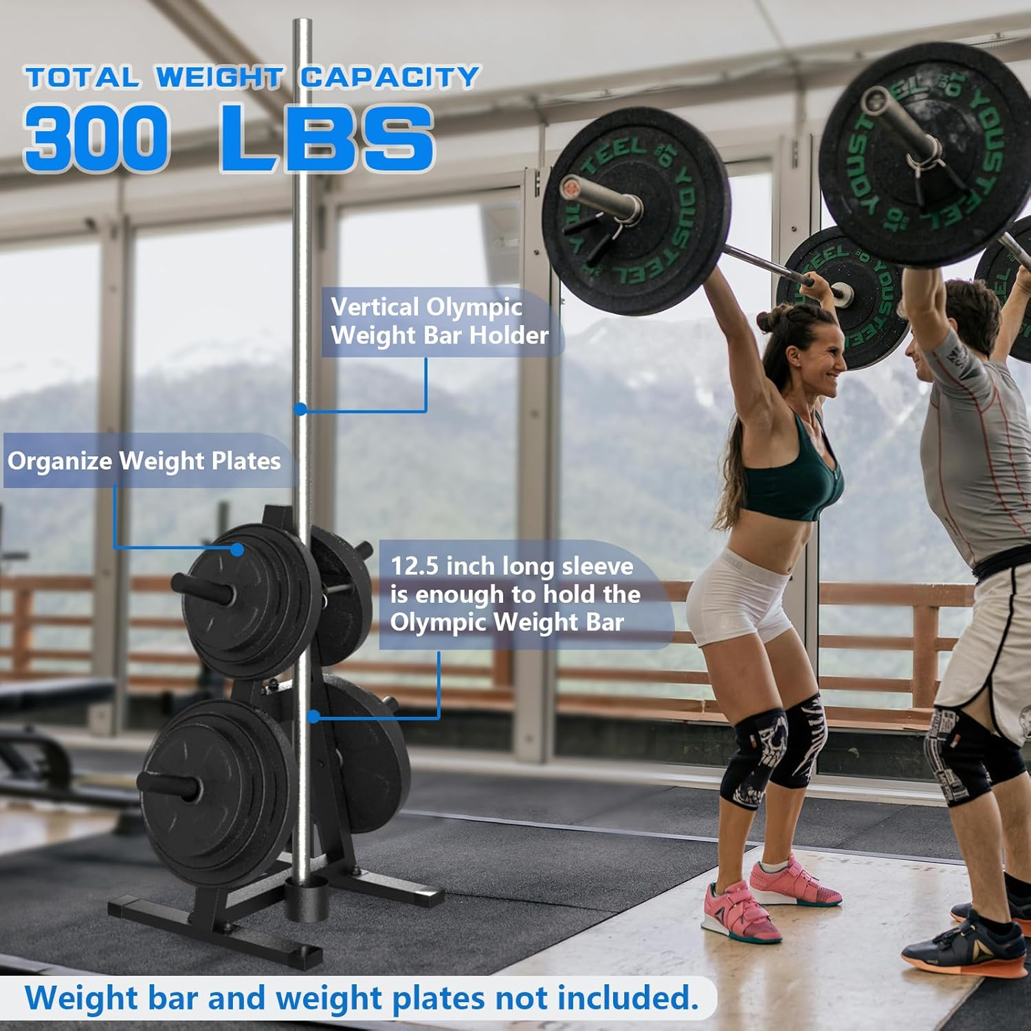 A-Frame Weight Plate Tree for 1" Olympic Plates - Holds 300 Lbs, Dumbbell Rack and Home Gym Storage Stand - Organize Your Workout Area ! image number 1