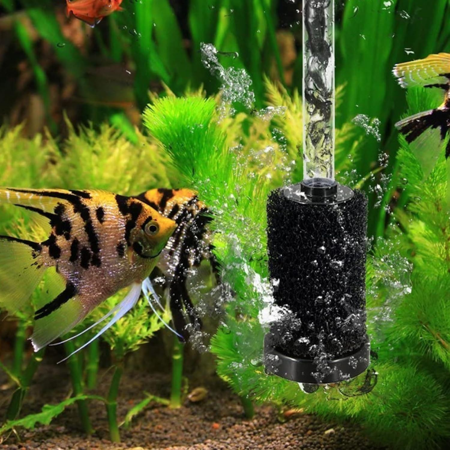 12 Pack Sweep Hose Tail Scrubbers - Genuine Replacement Parts 9-100-3105 / R0522400 - Fits Polaris 180, 280, 360, 380, 480, 3900, TR28P/TR35P/TR36P - Backup Filter Parts image number 2