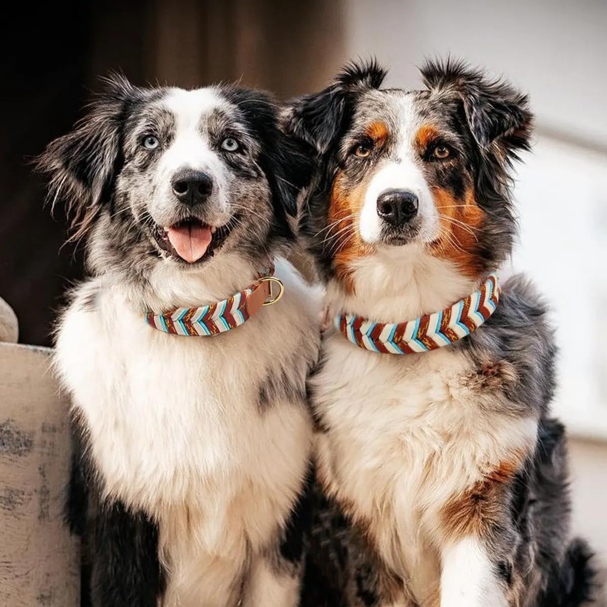 Handmade PVC Coated Dog Collar | Luxury Braided Waterproof Collar for Small to Large Dogs | Adjustable, Durable & Easy to Clean | Stylish Design for Walks & Training. Rose Blush/Cream, Small image number 4