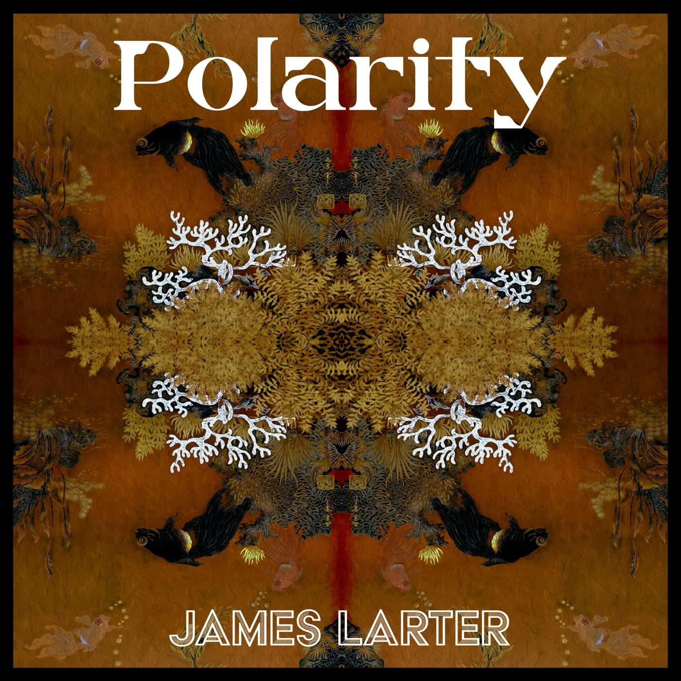 Polarity (LP)