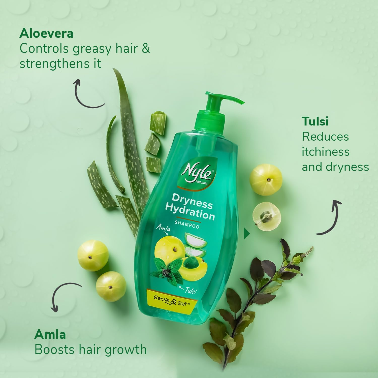 Nyle Naturals Silky and Smooth anti Hairfall Shampoo, with Tulsi and Amla, 800Ml, Green, (NYAM0800SNS01R) image number 1