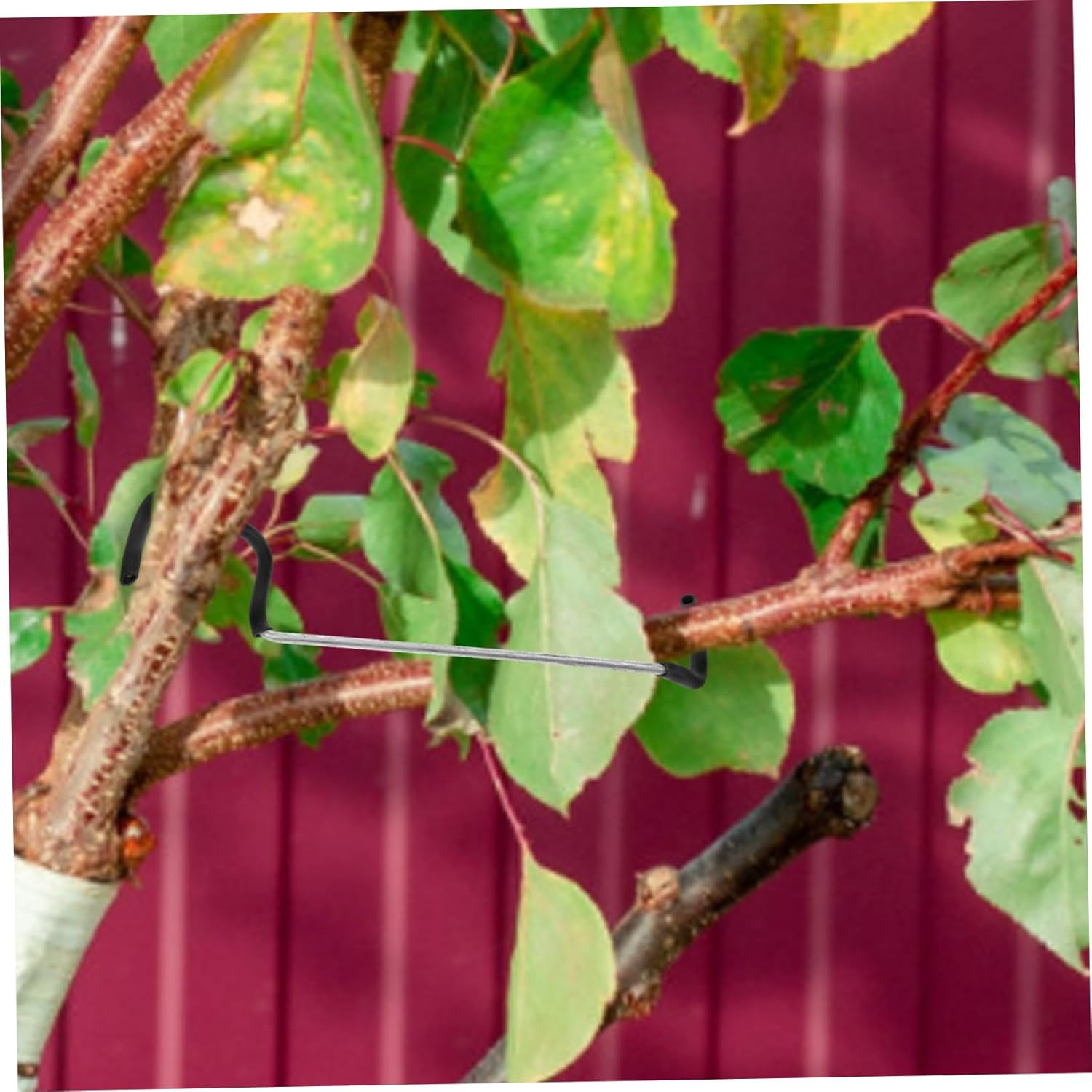 Tofficu 20Pcs Tree Branch Pullers Twig Bending Clips for Plant Support Durable Stem Trainers for Indoor Outdoor Use for Fruit Trees Seedlings