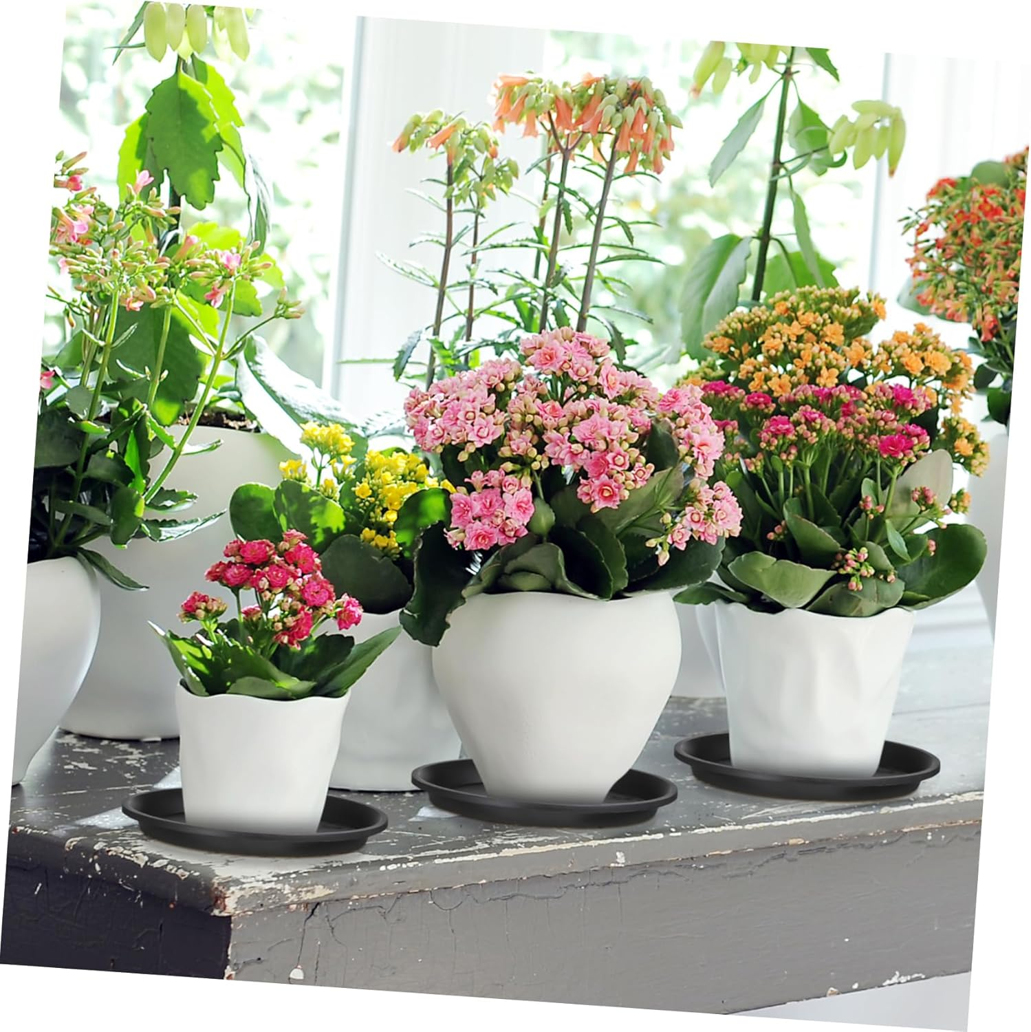 IWOWHERO 10Pcs Plant Pot Saucers round Drip Trays for Flower Pots Gardening Use Bonsai Water Trays Home Supplies image number 5