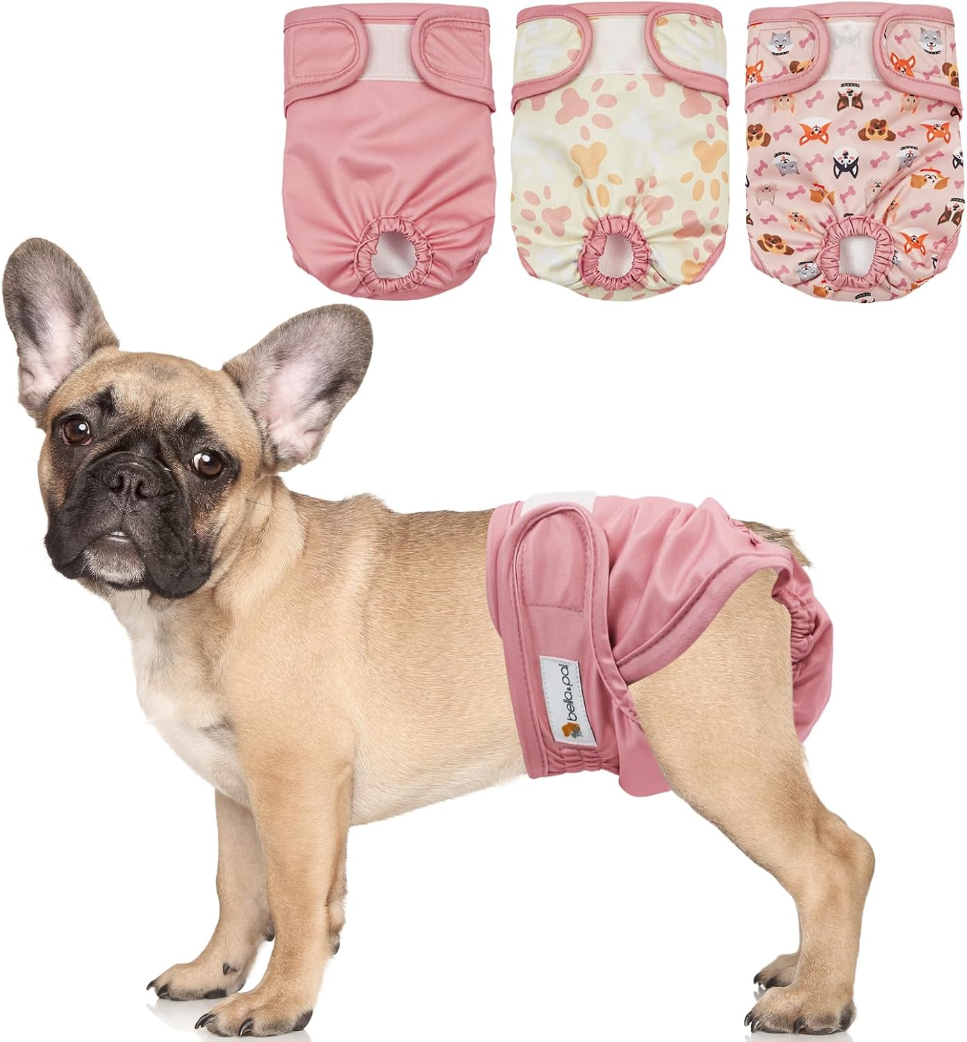 BELLA & PAL Washable Dog Diapers Female, 3 Pack Highly Absorbent Dog Diapers for Small Dogs, Leak-Proof Puppy Diapers for Female Dog in Heat, Period (XS (7-10" Waist), Pink& Purple& Green) - M (14- 19" Waist), Natural Joy