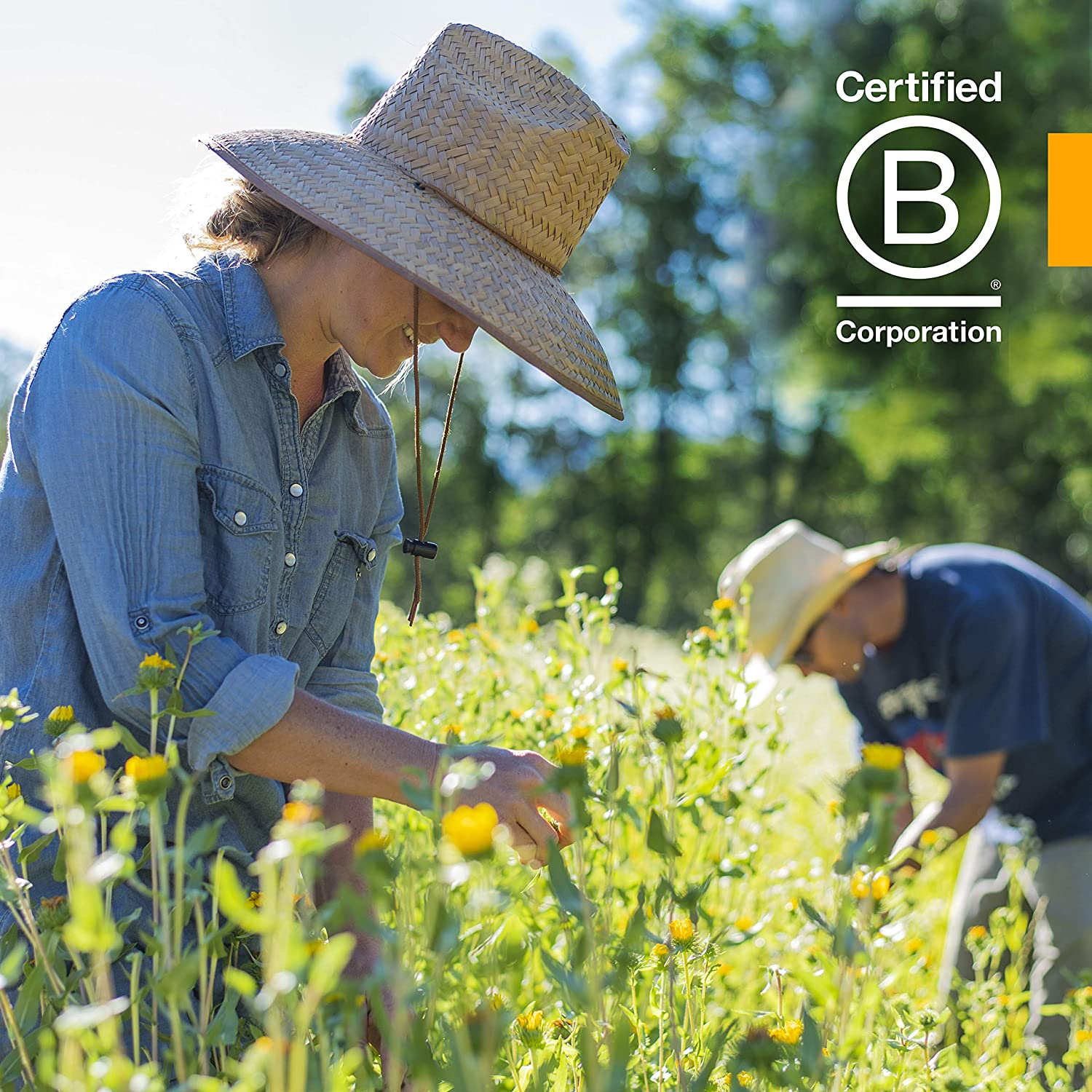 Herb Pharm Certified Organic Calendula Oil - 1 Ounce image number 4