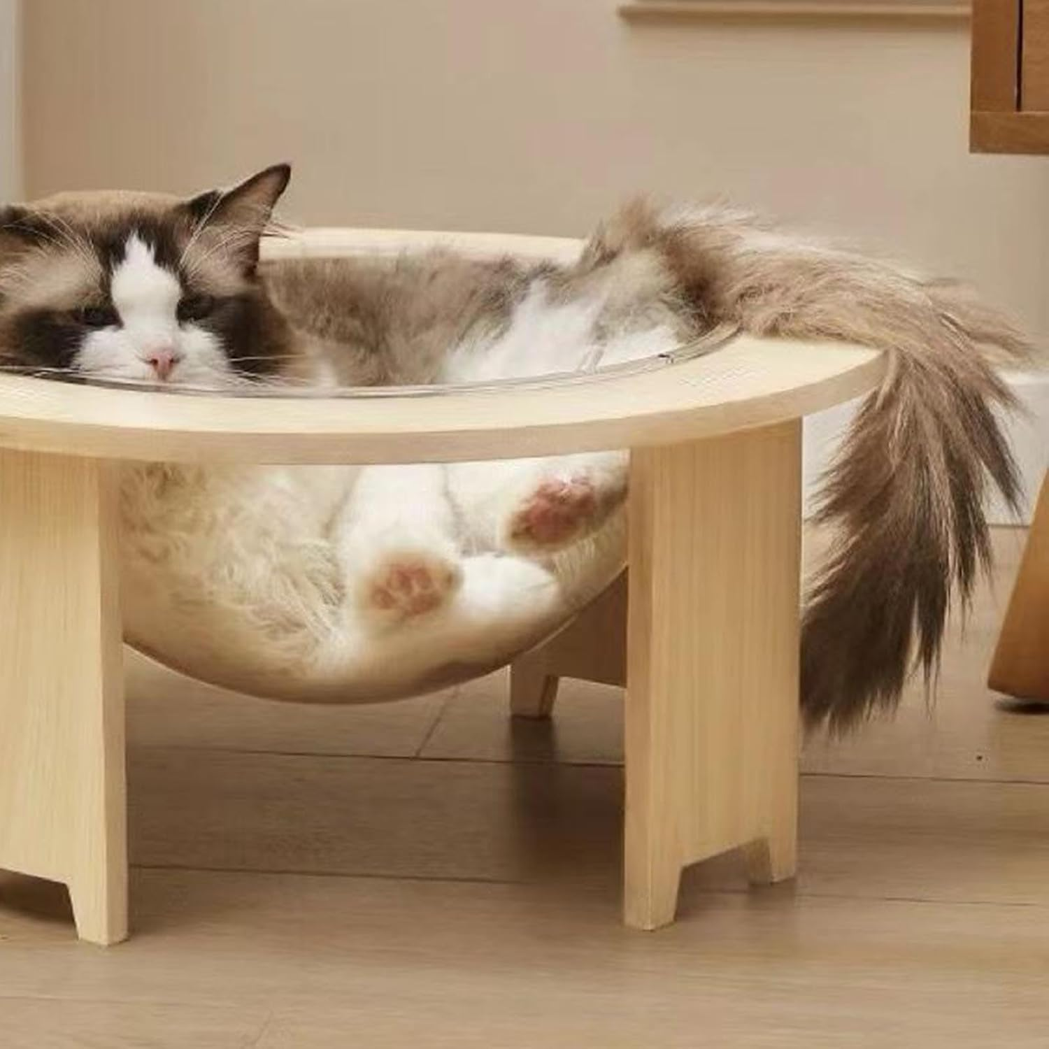 Capsule Cat Bed, Capsule Indoor Cat House, Transparent Clear Capsule Cat House, Detachable Wooden Elevated Cat Bed for Bedroom Balcony (Tama&ntilde;o Peque&ntilde;o 21 Pulgadas) image number 3