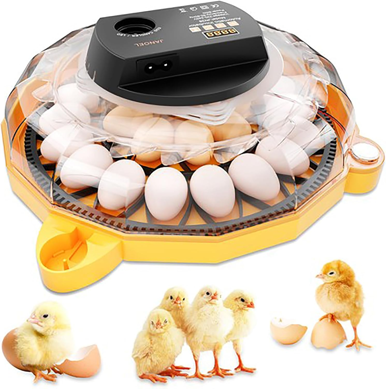 AUTENS 26 Egg Automatic Incubator for Chicken Duck Quail Goose Eggs - Digital Thermostat Humidity Control, Auto Egg Turning & LED Candler, Clear View Window, Overheat Protection image number 4