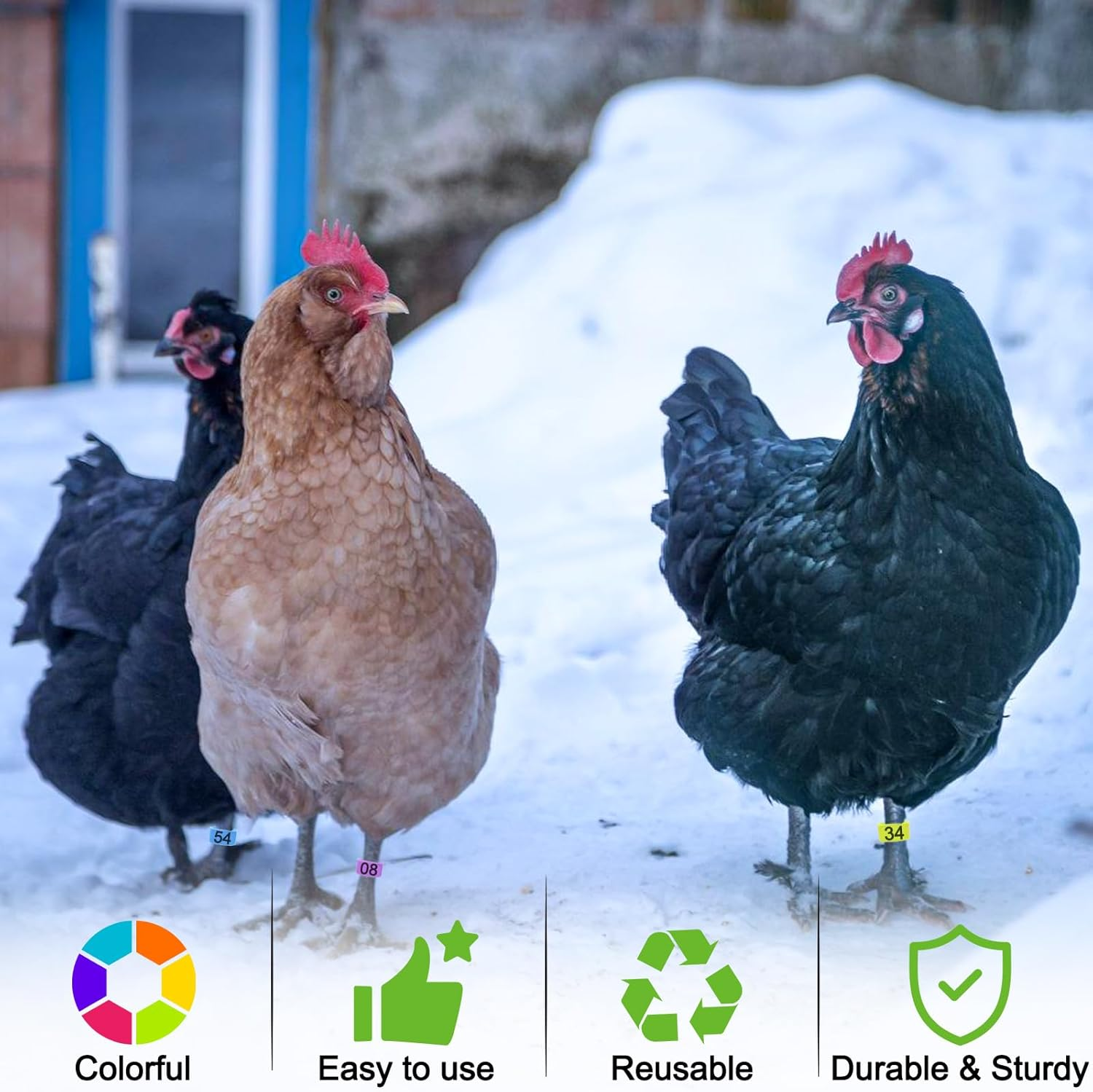 70 Pcs 20Mm Duck Leg Rings Colorful 01-70 Numbered Duck Identification Leg Bands, Duck Chicken Leg Tags Clip on Poultry Ankle Rings for Ducks Chicken Guinea Goose Gamefowl Turkey image number 1