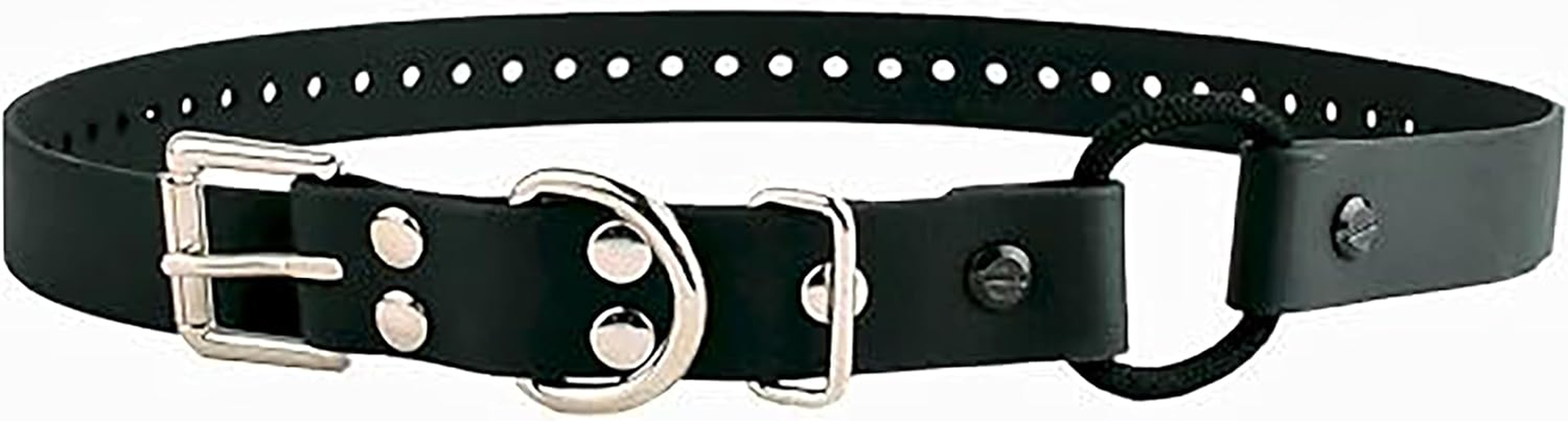 Educator Bungee Dog Collar, Biothane, Waterproof, Odorproof, Metal Buckle and D Ring with Comfort Bungee Loop Adjustable for Custom Fit, 3/4-Inch, Black