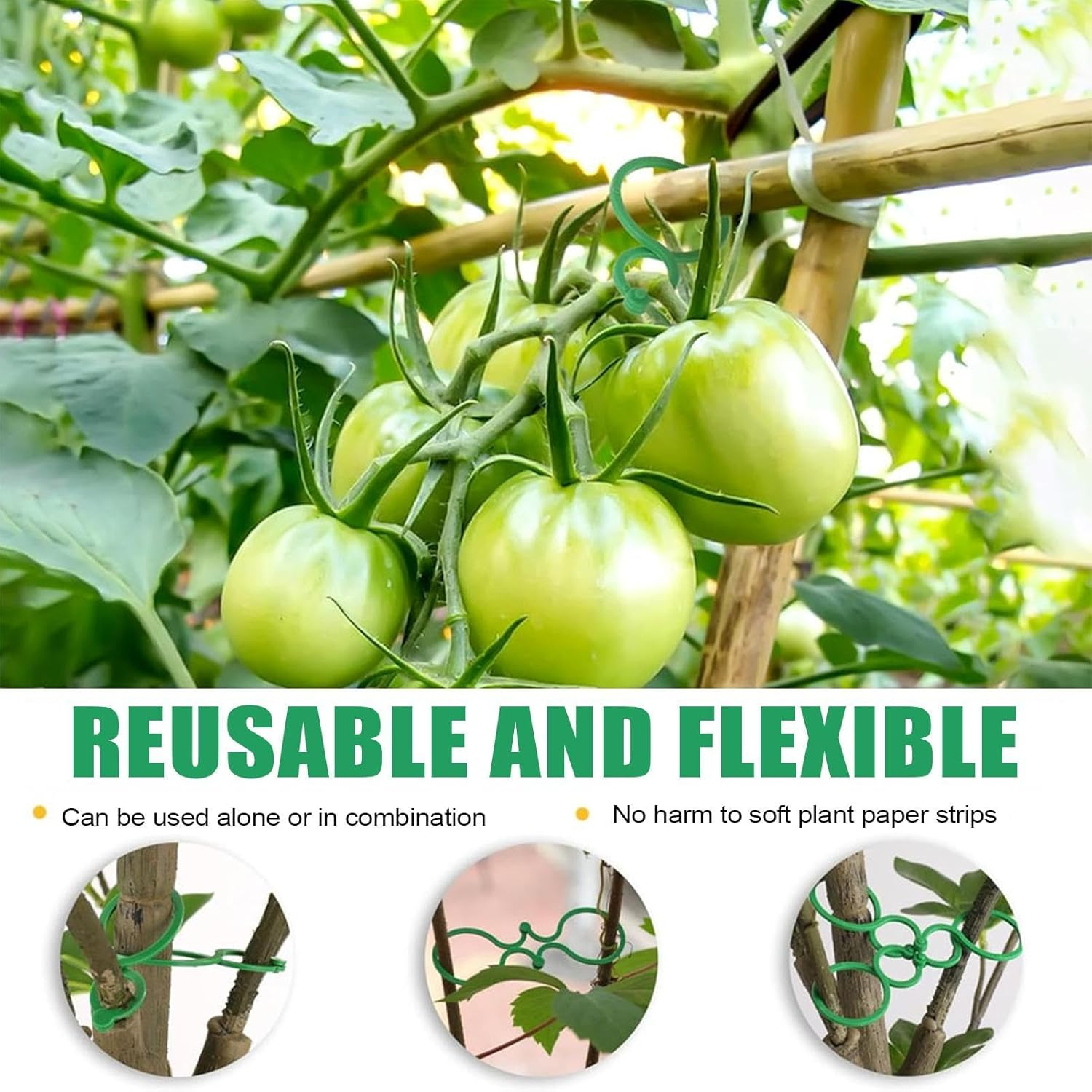 Plant Support Clips - Tomato Clips for Support,Gardening Vine Fixing Tool for Vegetables Gourds Cucumbers Tomatoes image number 1