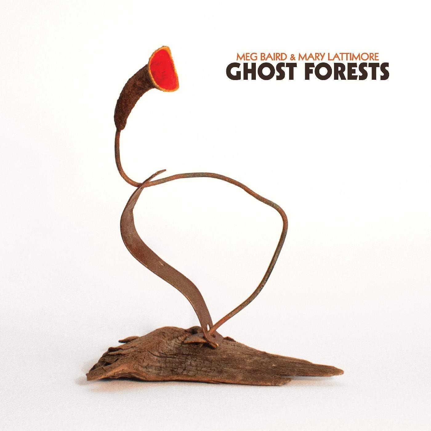 Ghost Forests (Jewel Case) image number 1