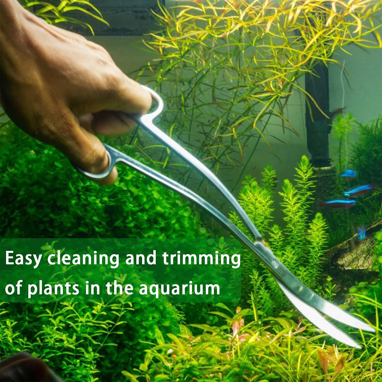 8 Pcs Aquascape Tools,Fish Tank Cleaning Kit,Aquarium Cleaning Tools Include Aquarium Long Tweezers,Fish Tank Siphon,Gloves and Storage Pouch for Aquariums Tank and Terrarium image number 5