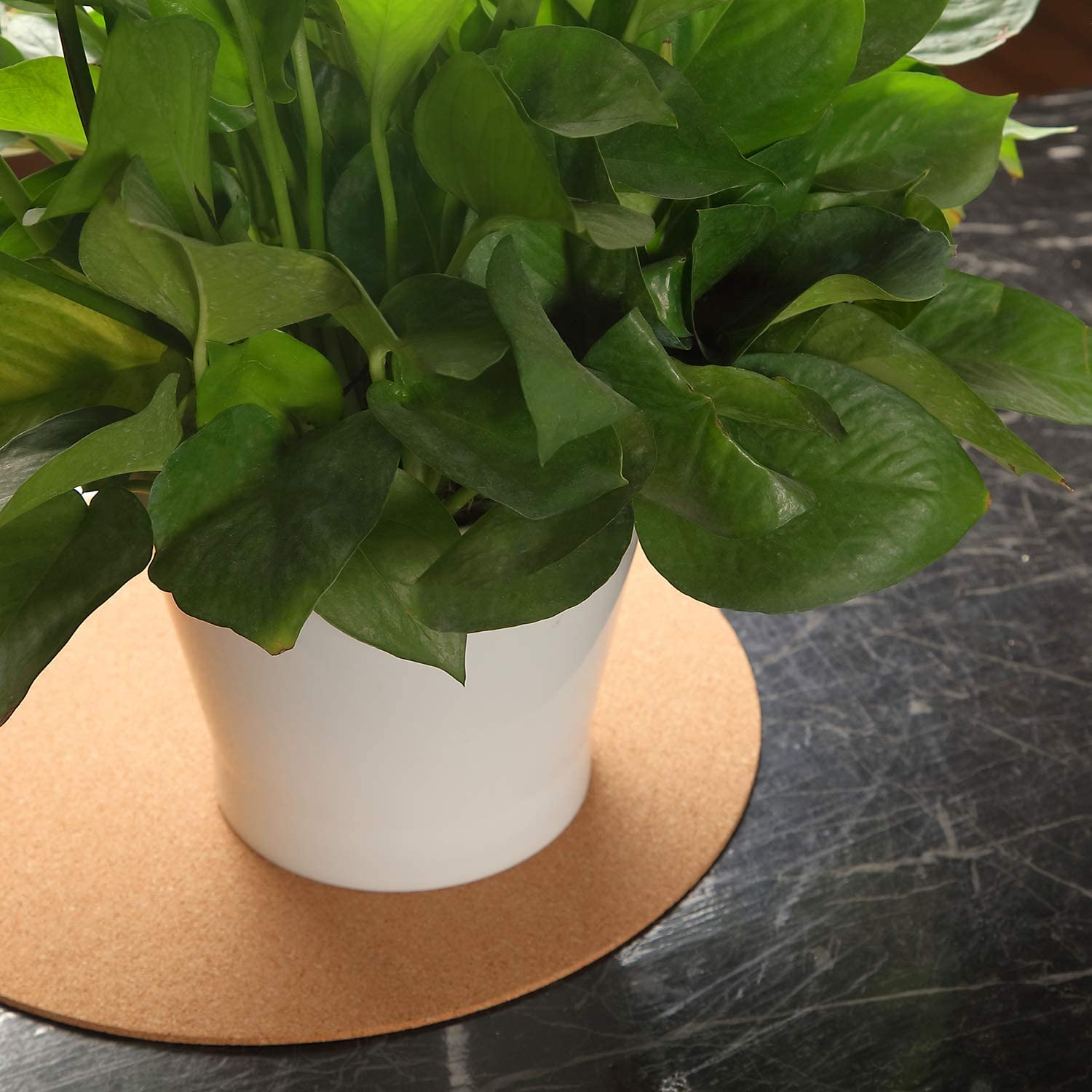 Boao 2 Pcs 12 Inch Cork Plant Coaster Cork Mat Trivet for Plant round Absorbent Corkboard Mat Pad Planter Saucers for Kitchen Dining Table Countertop Pad, Pan, Kettle and DIY Craft Supplies image number 3