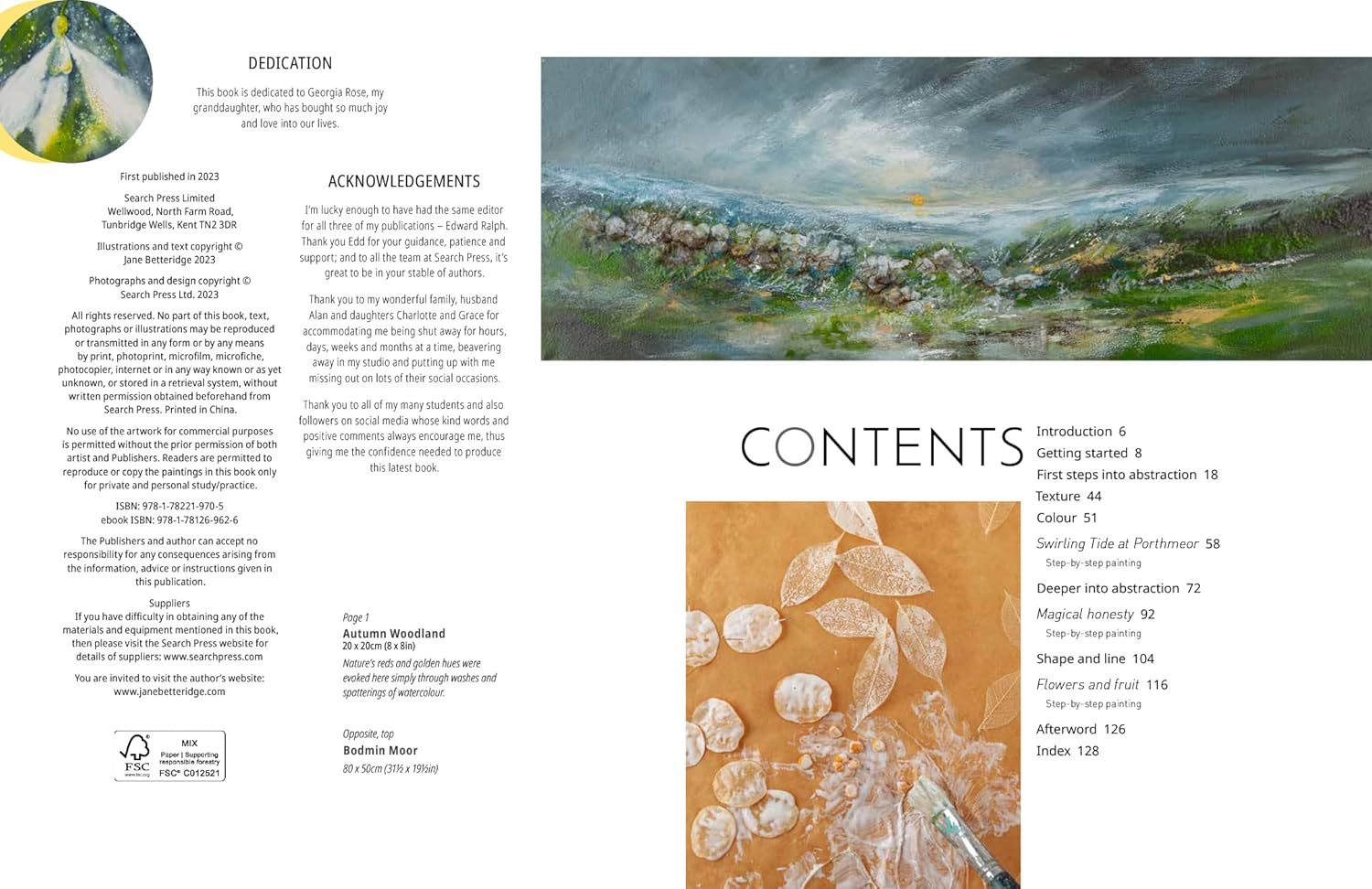 Painting Abstract Nature on Canvas: a Guide to Creating Vibrant Art with Watercolour and Mixed Media image number 1