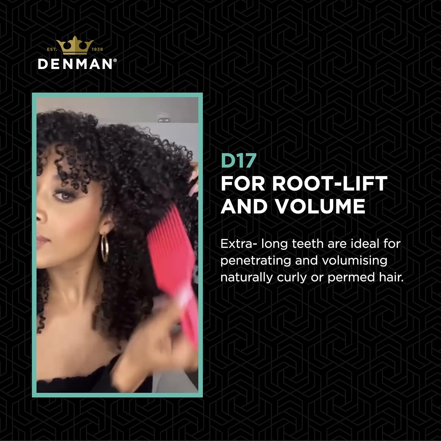 Denman D17 Afro Comb/Curl Tamer Black image number 1