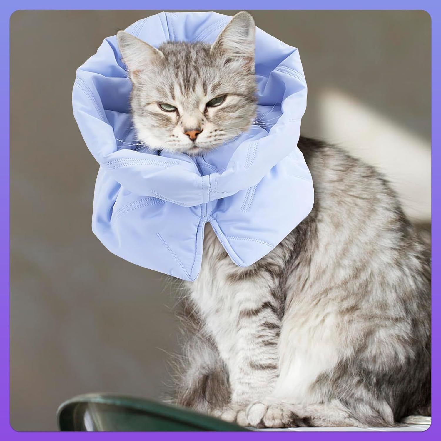 Lelepet Cat Recovery Collar, Soft Cotton Adjustable Cat Cone, Anti-Lick Cat Neck Cone, after Surgery Protective Collar, Lightweight Elizabethan for Cat Kitten Small Dog, S (Neck Girth 5.5"-9.8") image number 5