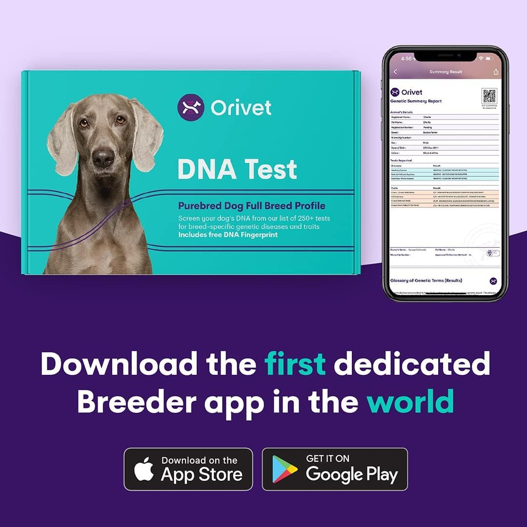 Full Breed Profile     - Genetic Health Screening, 250+ Trait & Disease Tests, DNA Profile, Breeder Wellness Plan, Cheek Swab image number 5
