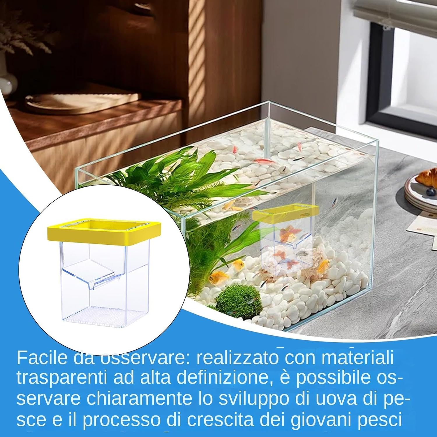 Ccuzs Fish Breeder Box, Aquarium Hatchery Incubator, Transparent Design Easy Installation Fish Nursery, Suction Cup Isolation Container for Aquatic Pets, 4.33X3.39X3.39 Inches image number 6