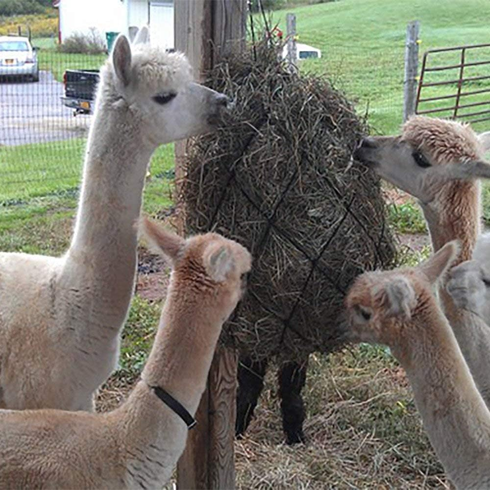 Bloomoak Knotless Slow Feed Hay Net with 2 Carabiner Clips for Horses/Open Top Hanging Hay Bag with Large Capacity for Full Day Feeding/Trailer&hellip; (40" Length - 4" Hole) image number 3