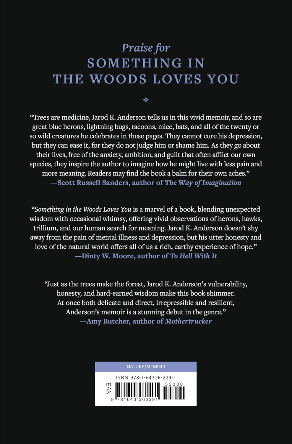 Something in the Woods Loves You image number 1