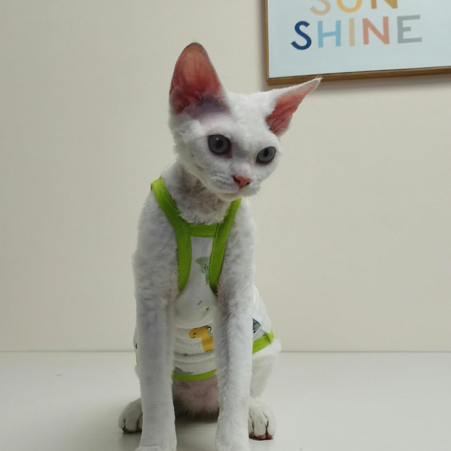 IUOUTG Sphynx Cats Shirt Pure Cotton Hairless Cats Clothes Cute Summer Thin Cat Pullover Vest Cats Pajamas with Cartoon Print Kitten Sling Vest for Sphynx Devon Cornish Peterbald