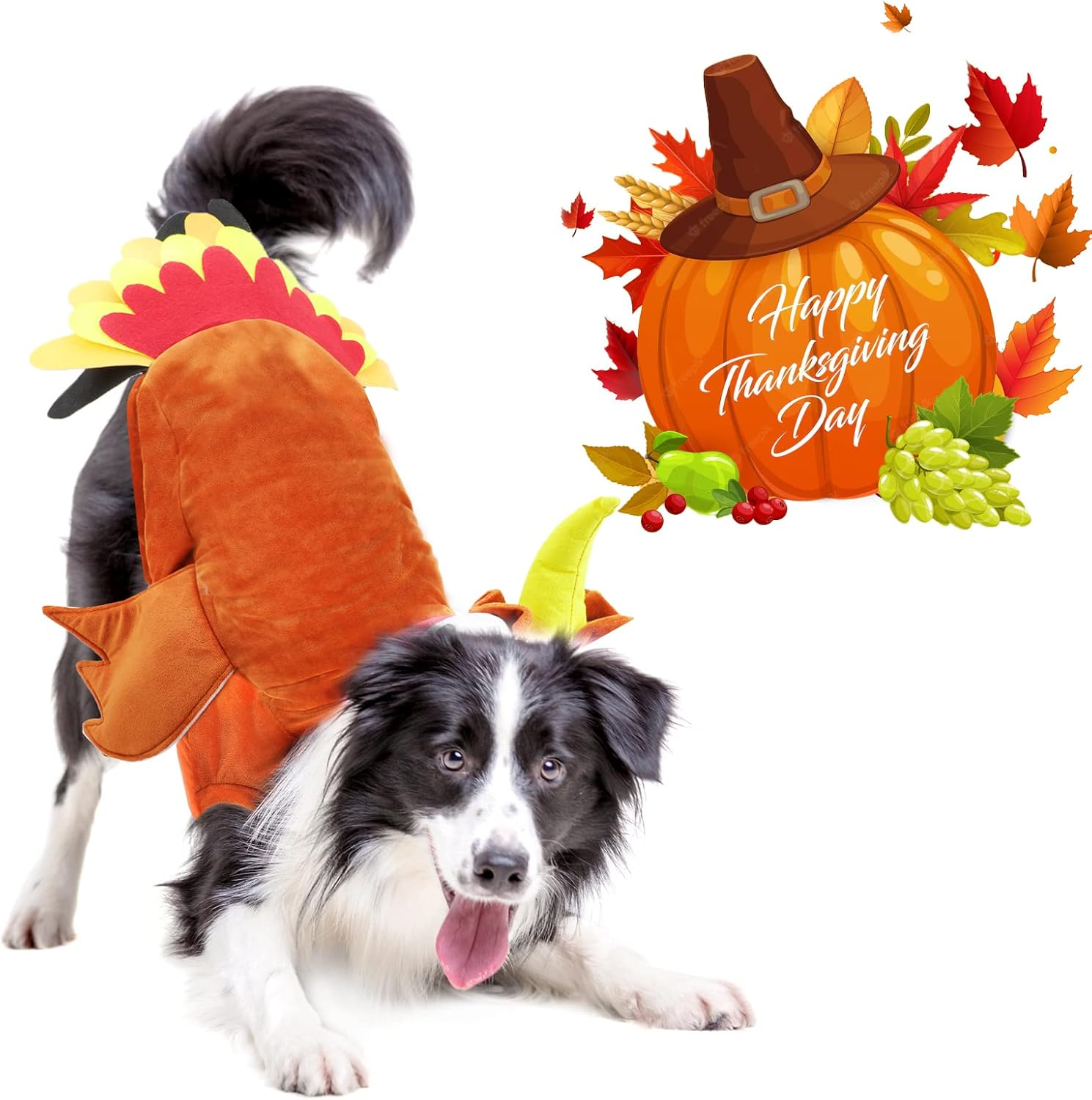 BWOGUE Large Dog Turkey Costume,Dog Thanksgiving Costume Winter Warm Pet Clothes Apparel for Thanksgiving Cosplay Dress up Fit for Medium to Large Dogs image number 6
