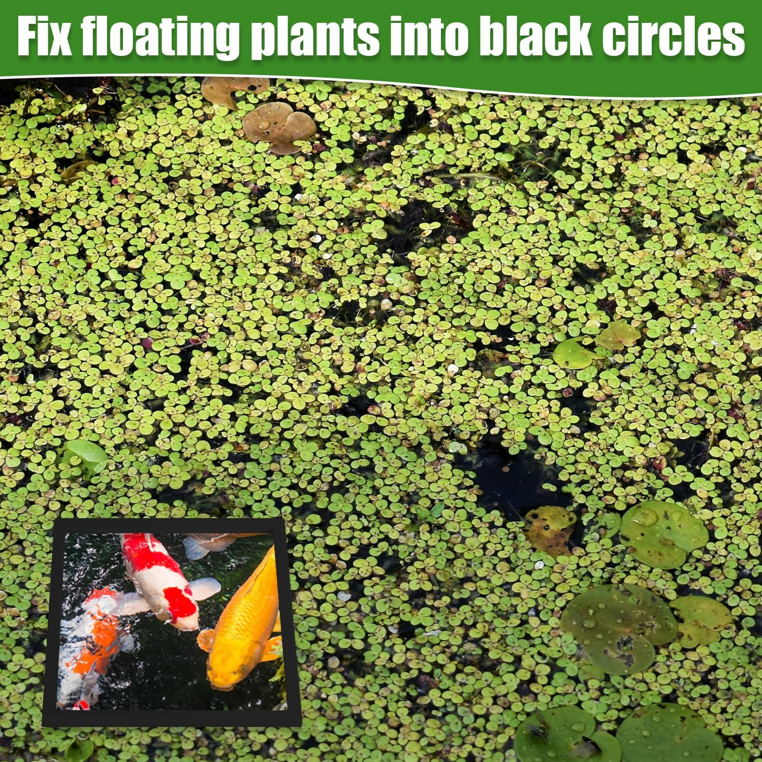 PEUTIER 6Pcs Fish Feeding Rings, Aquarium Floating Plant Rings, round & Square Fish Feeder Rings Floating Plant Corral Fish Tank Plant Ring for Bettas, Goldfish, Turtle Aquarium Accessories (Black) image number 2