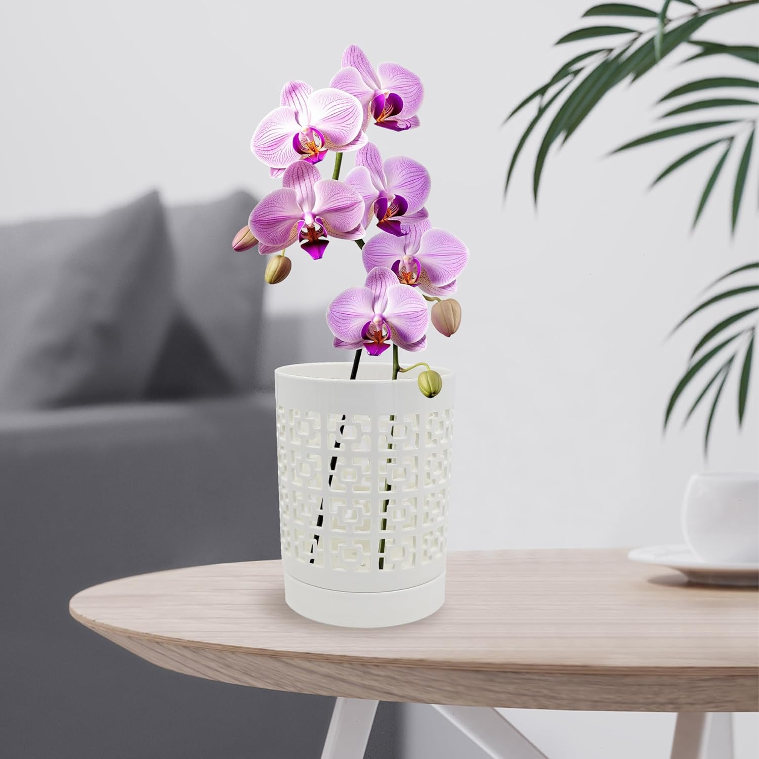 Orchid Pots with Holes, 4 Inch Ceramic Plant Pots for Indoor Plants with Drainage and Saucer, Orchid Planter Pots for Repotting, Small Flower Pots for Orchids Indoor Outdoor (White) image number 1