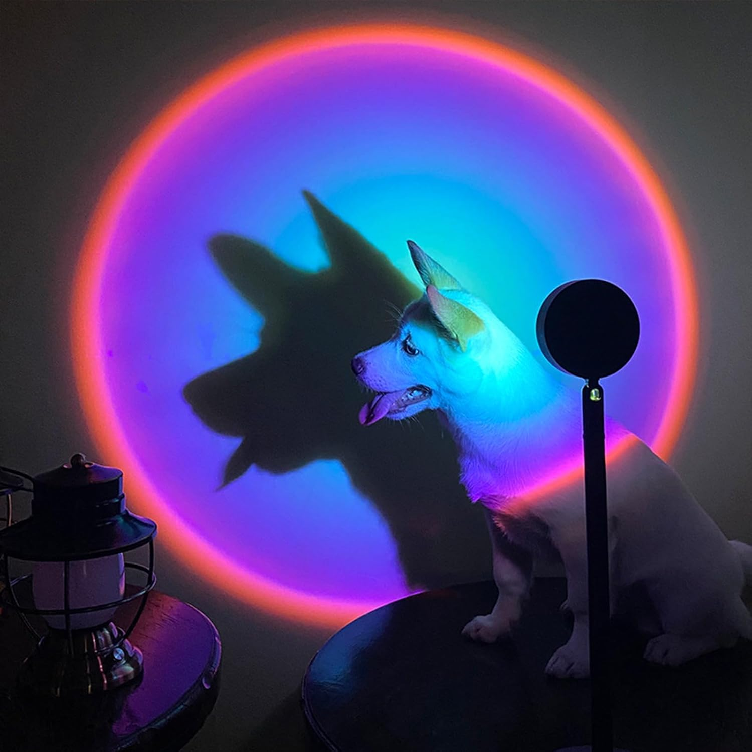 VIPMOON Sunset Lamp Projection with App Control 16 Colors Changing 360&deg; Rotation Sunset Projector Modern Floor Stand Night Light for Gift, Selfie, Bedroom, Photography, Party-Metal Aluminum image number 2