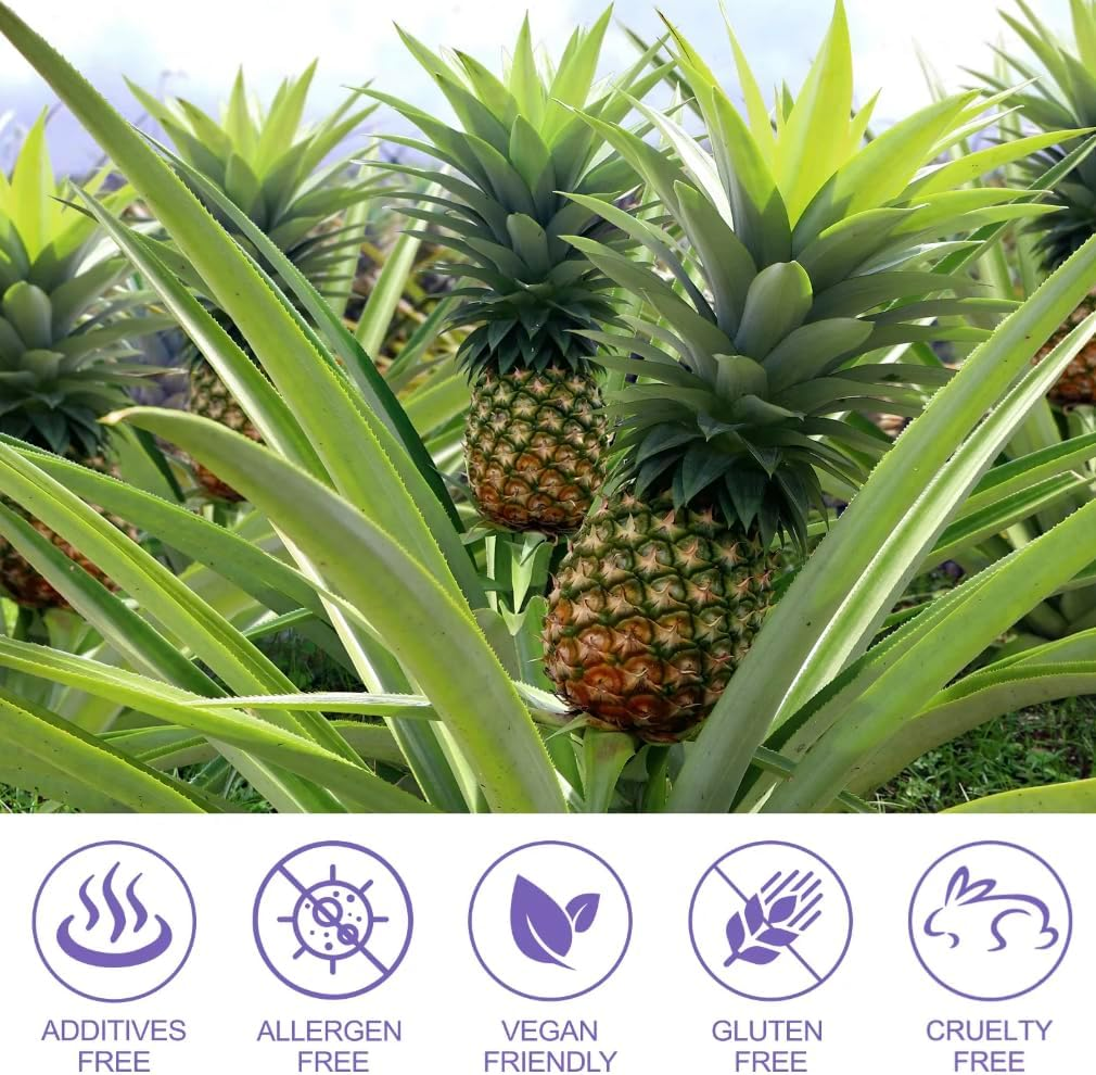 Women Vaginal Probiotic Gummies &ndash; Supports Flora Balance, Immune Health & Wellness with Vitamin C &ndash; Natural Pineapple Flavor &ndash; 60 Gummies image number 2