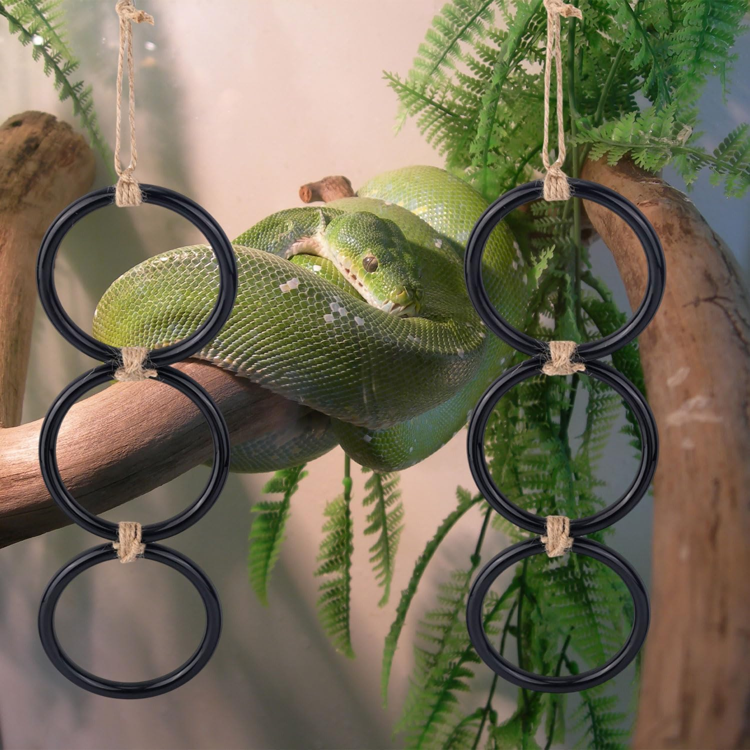 Snake Enrichment Rings - Climbing Toys for Ball Pythons & Corn Snakes, Reptile Playground Accessories with Textured Surface image number 3