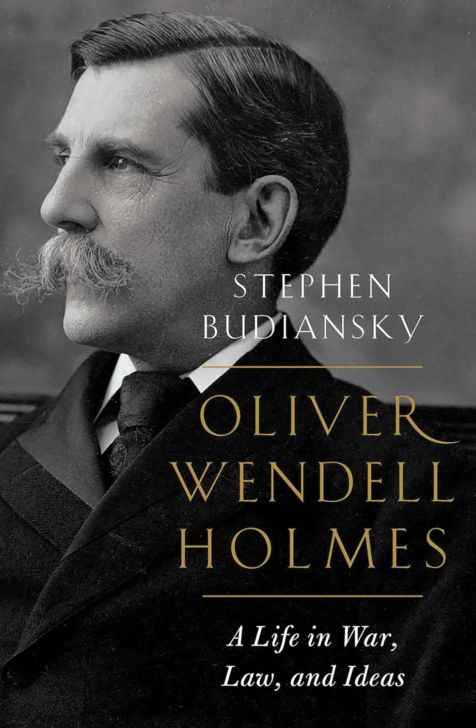 Oliver Wendell Holmes: a Life in War, Law, and Ideas - Hardcover