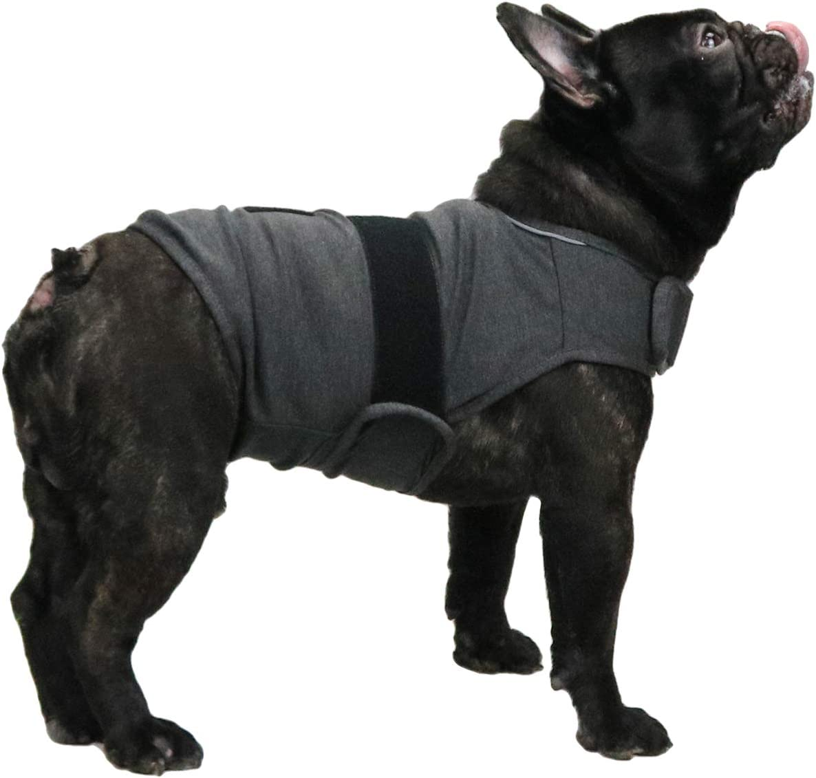 Breathable Dog Shirt for Thunderstorm, Dog Anxiety Vest Jacket Warp,Puppy Calming Coat Anxiety Relief (M, Grey) image number 5