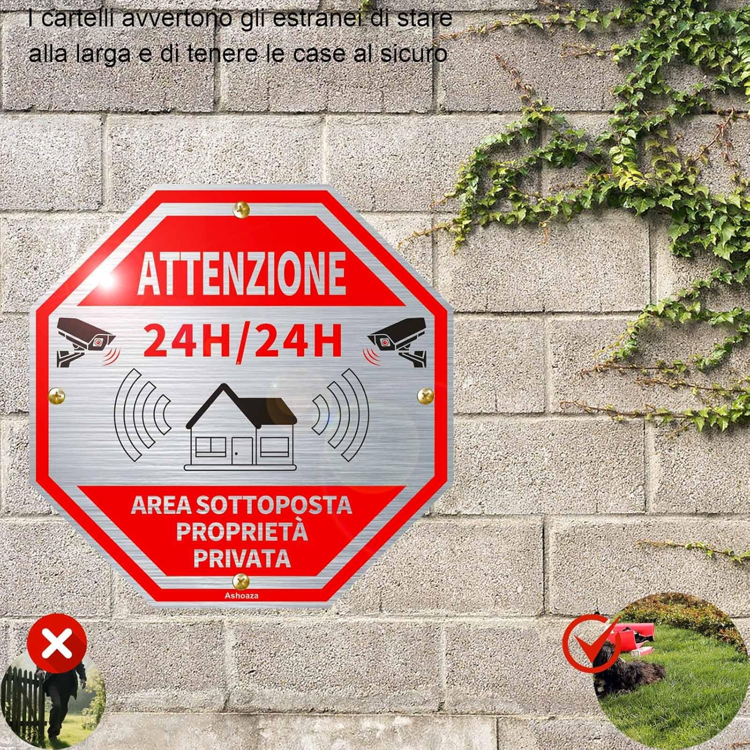 24H Video Surveillance Area Sign, Aluminium for Security Reasons, 2 CCTV Signs, 20 X 20 Cm, Video Surveillance Signs for Shop and Private Property Long Lasting (Private Property) image number 3
