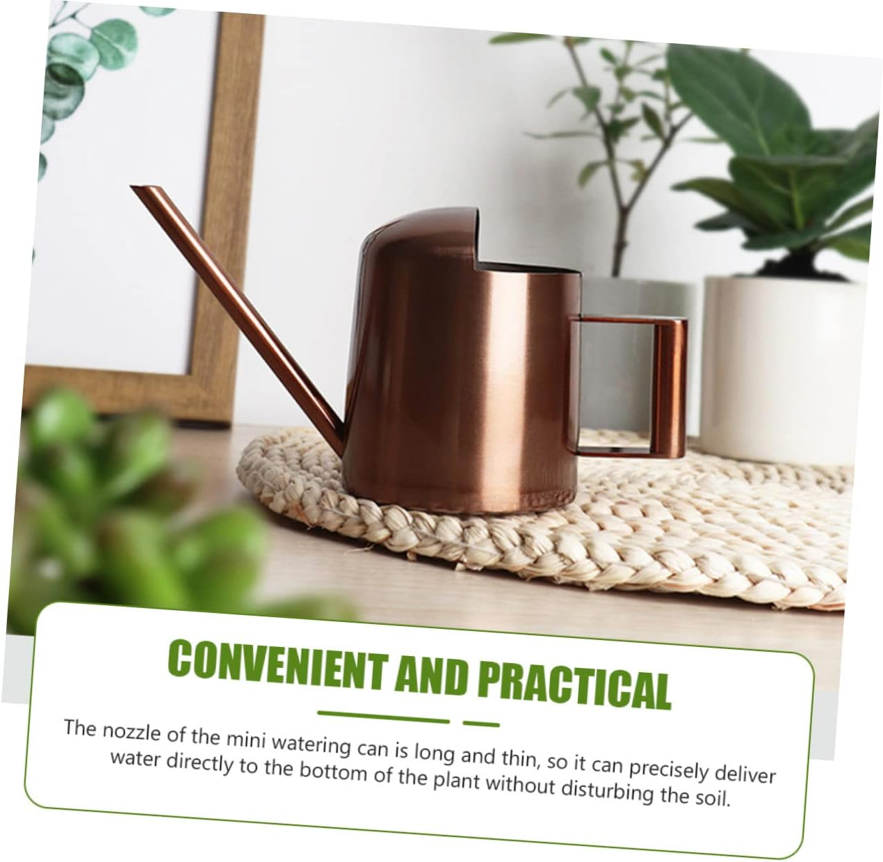 Long Tip Watering Can Stainless Steel Household Pot for Succulent and Bonsai image number 3