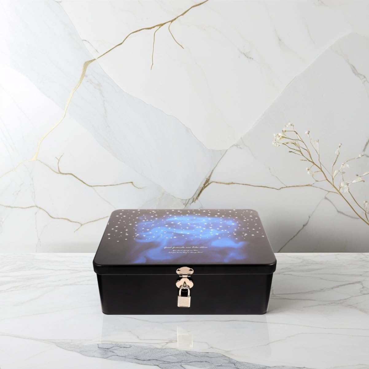 SOLUSTRE Lockable Storage Box Vintage Design Small Lock Box for Keys and Accessories Portable Storage Bin Secure Lock for Desktop Organization Outdoor Key Safe image number 1