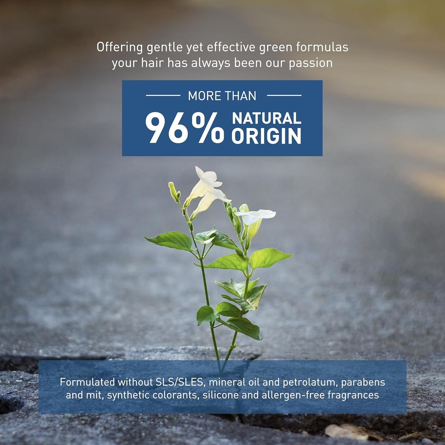 Insight Strengthening Shampoo for Frequent Use, 900 Ml image number 4