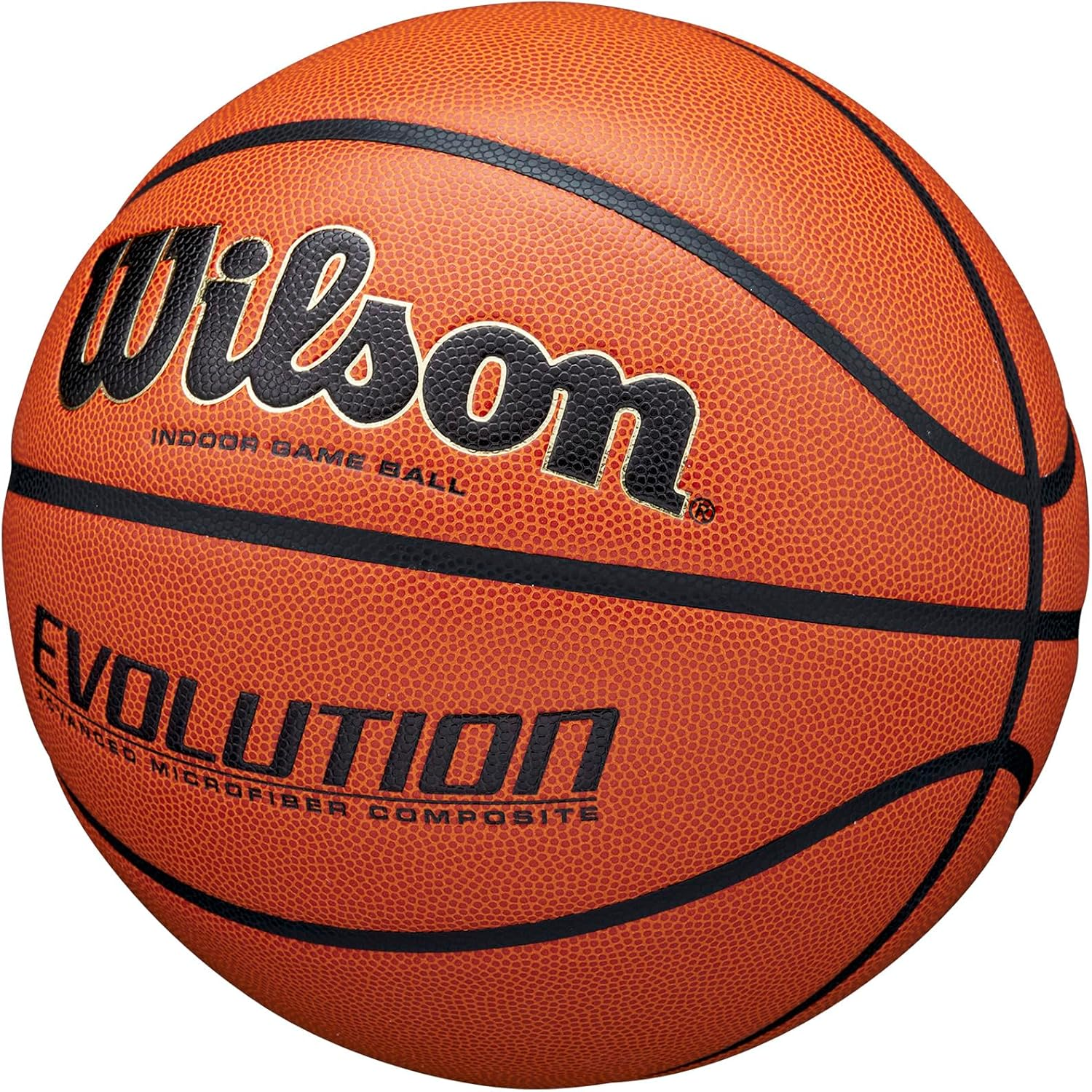 Wilson Evolution Game Basketball