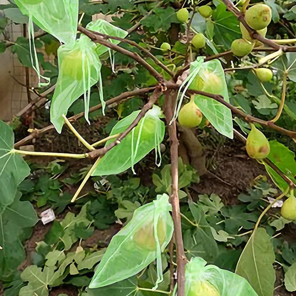 Fruit Protection with Drawstring 100Pcs, Mesh Fruit Protection Bag 15X20Cm, Mesh Garden Protection Bag, from Birds Squirrels image number 3